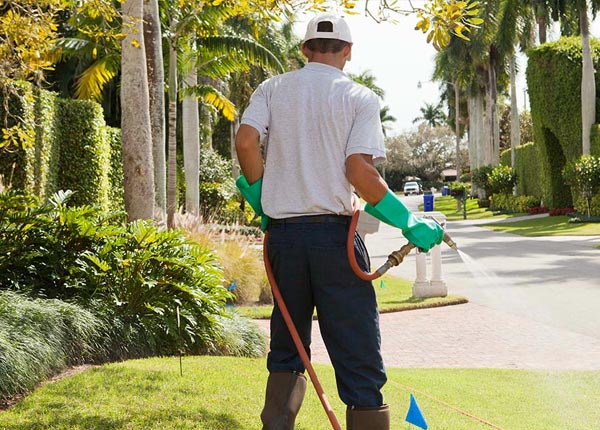 About Friona TX Pest Control